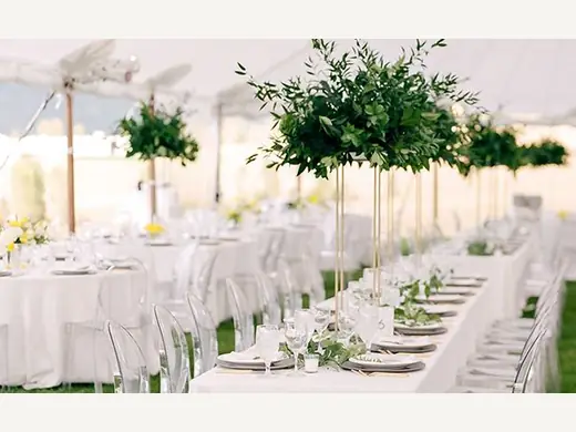 Luxury Transparent Chiavari Wedding Chairs - Direct from Factory