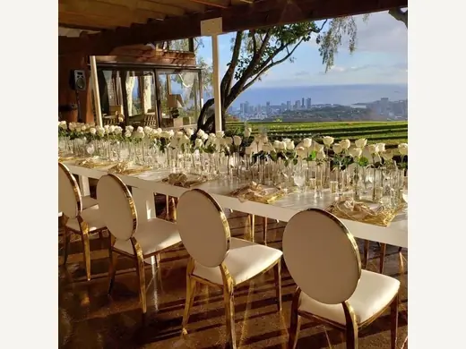 Stainless Steel Wedding Chair - Elegant & Durable Design