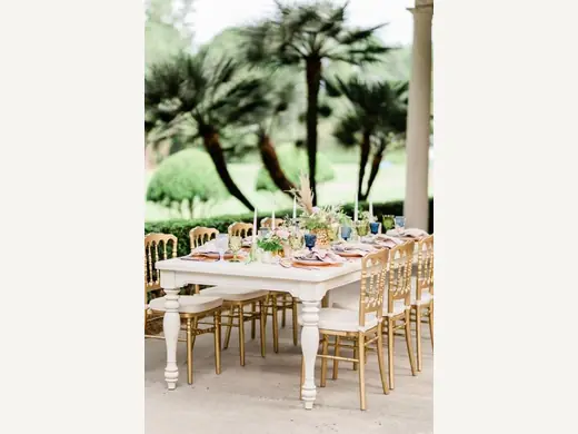 Elegant Wood Napoleon Chair for Classic Events and Decor