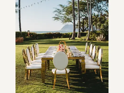 Gold Stainless Steel Chair Cross Back Bride Groom Wedding Chairs and Table Set