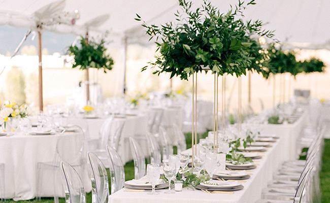 Luxury Transparent Chiavari Wedding Chairs - Direct from Factory